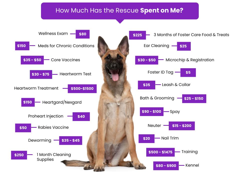 Canine Impact Foundation Fee Graphic
